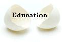 Picture: Education logo